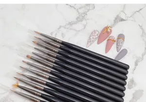 12pcs portable nail art brush set with storage case, professional liner and carving brushes.