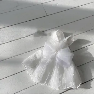 Detailed view of white pet wedding dress featuring delicate mesh lace and pearl bow accent.