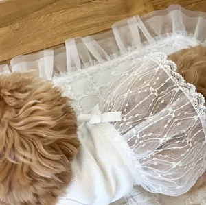 Spring summer white lace pet dress for small dogs cute puppy apparel comfortable clothing