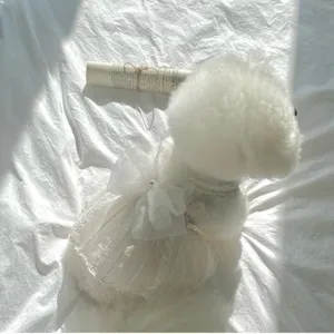 Pet dress detail view showing white lace mesh and elegant large bow design on fluffy dog.
