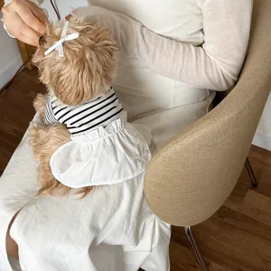 Detailed view of cute striped pet summer dress with white skirt for small dogs comfortable wear