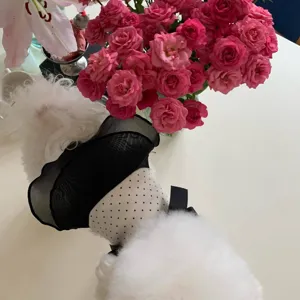 Cute pet dog dress with black polka dots and mesh ruffles, lovely pet apparel detail shot.