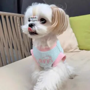 Detailed shot of a cute pet wearing a summer thin waffle knit vest in pink and blue colors.