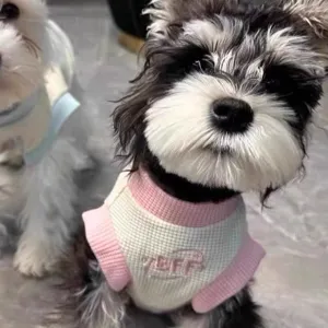 Detailed shot of pet vest for small dogs, waffle knit fabric in pink and white colorblock.