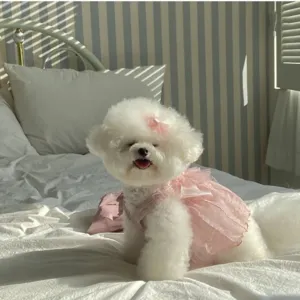 Cute summer pet dress with pink lace for small dogs and cats, perfect for daily wear.