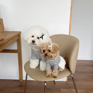 Detail shot of two cute dogs wearing matching black and white striped pet clothes.
