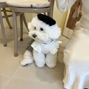 Pet vintage style ruffled dress for dogs and cats, elegant white and black pet fashion apparel.