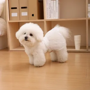 Cute white lace pet dress for small dogs and cats, perfect spring and summer fashion apparel.