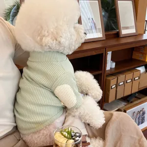 Cute pet sweatshirt for small dogs, light green ribbed knit dog clothes with elbow patches.