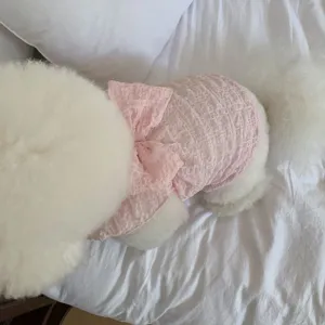 Detailed view of the cute pink bubble sleeve pet dress with a sweet bow for small dogs and cats.