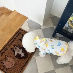 Imperméable dinosaure mignon pour petit chien, vêtements de chiot étanches printemps.