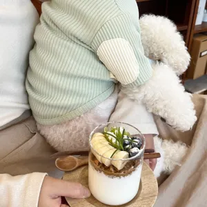 Detailed view of the cute thin pet sweatshirt for small dogs, stylish green ribbed design.