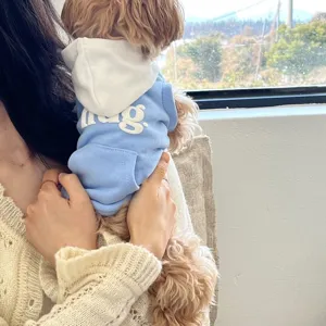 Blue pet hoodie with white hood, cute dog clothes with pocket and back letter print for daily wear.
