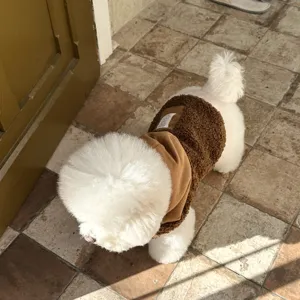 Cute winter dog hoodie fleece pet apparel warm coat for small dogs teddy bichon pomeranian