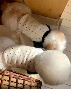 Close-up detail of cute pet dog hoodie with polka dots, soft fabric design for small puppies.