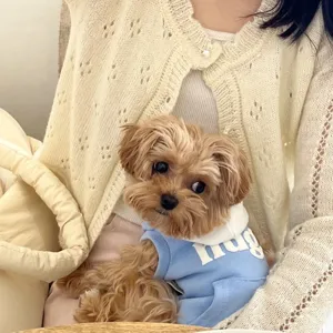 Detailed shot of cute pet dog wearing a stylish light blue hooded sweater with print.
