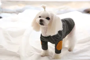 Close-up detail of the striped pet sweatshirt with cute elbow patches for small dogs.