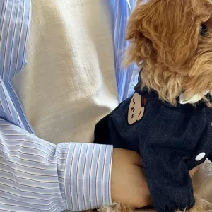 Bonita chaqueta con capucha de denim para perros pequeña cachorro ropa de invierno para mascotas