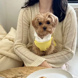 Cute pet hoodie for small dogs and cats, soft yellow and white hooded dog clothes for spring.