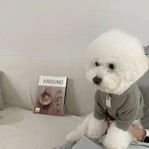 Cozy green knit sweater for small dogs and cats, perfect autumn and winter pet clothing apparel.