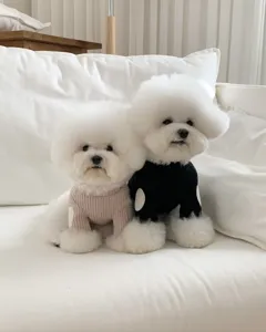 Cute pet knit sweater for dogs and cats, spring autumn fake two-piece puppy clothes apparel.