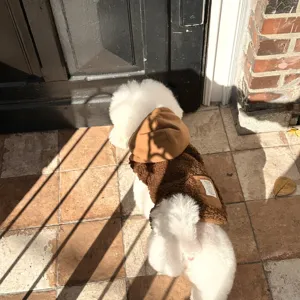 Cozy brown fleece dog hoodie for small pets, warm autumn winter pet apparel for dogs and cats.