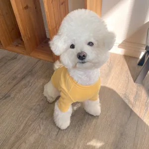 Cute yellow pet sweatshirt for small dogs, warm and cozy winter dog clothes detail view.