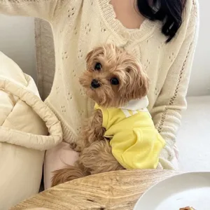 Close up detail of cute pet puppy wearing yellow hoodie, showing soft fabric texture.