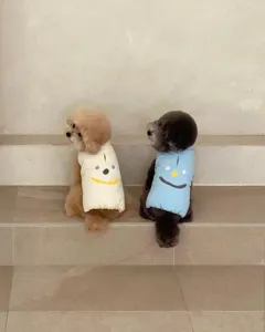 Close-up detail of cute puppy winter padded vest, warm cotton pet clothes for small dogs.