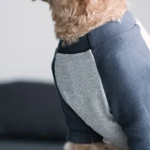 Cute two-tone dog sweatshirt with raglan sleeves, comfortable pet apparel for small dogs.