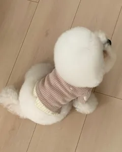 Details of the cute pet knitted sweater with pink and yellow splicing and lovely embroidery.