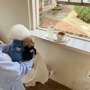 Otoño invierno sudadera denim para perros lindo parche de oso chaqueta de mascotas cachorros