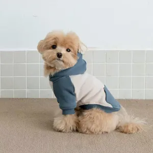 Detail shot of a cute pet wearing a stylish two-tone dog hoodie in blue and beige.