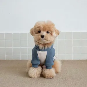 Detailed shot of a pet hoodie with blue and beige color blocking, designed for small dogs and cats.