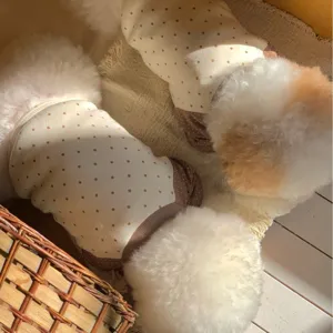 Cute autumn winter polka dot pet hoodie for small dogs puppy cat apparel chic soft outfit