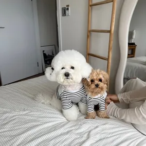Cute striped pet vest for small dogs summer breathable cat clothes cute puppy apparel 1pc