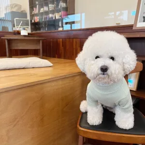 Cute dog sweater in light green ribbed fabric, comfortable pet apparel for small dogs detail view.