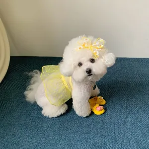 Cute small dog wearing breathable yellow mesh dress detail shot pet summer fashion apparel