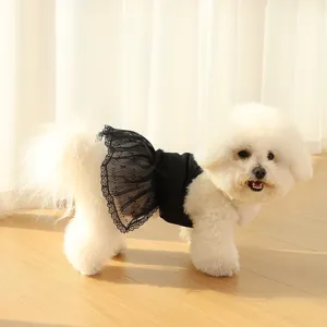 Detail shot of cute small dog wearing black lace strap dress, pet clothing scenario display.
