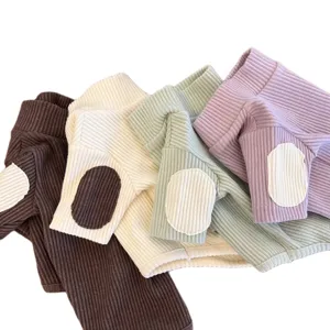 Cute ribbed pet dog cat sweater sweatshirt for small dogs cute clothes spring autumn