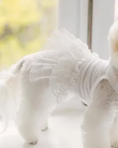 Summer dog dress lace princess skirt thin pet clothes for small dogs puppy apparel