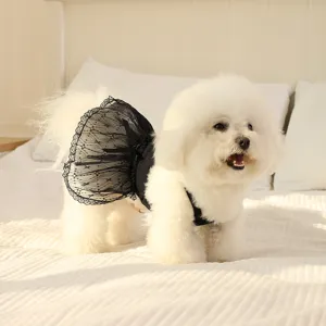 Chic black lace pet dress for small dogs and cats, breathable summer suspender skirt apparel.