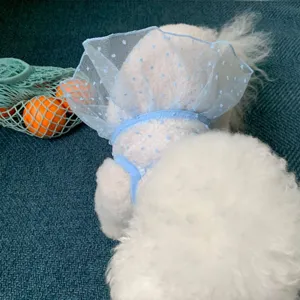 Summer cute mesh dog dress breathable puppy skirt pet apparel for small dogs and cats
