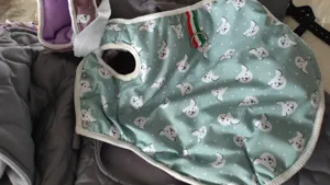 Detailed view of the mint green cute poodle pattern pet winter vest, featuring snap buttons and D-ring.