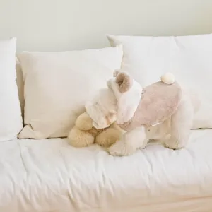 Manteau d'hiver chaud pour chien mignon avec oreilles d'ours pour petits chiens et cats.