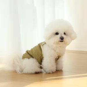 Detail view of breathable green pet vest with delicate lace trim, soft textured fabric for dogs.
