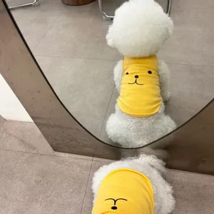 Summer thin pet vest cute cartoon bear T-shirt breathable apparel for small dogs puppy