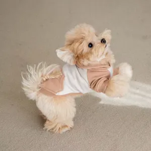 Detail view of cute dog hoodie in color block design, perfect warm winter pet clothes.