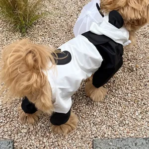 Waterproof pet raincoat jumpsuit for small dogs, stylish puppy rain clothes with hood.