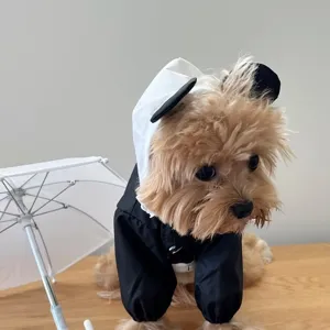 Cute waterproof dog raincoat with cute hood for small pets, stylish black and white pet apparel.